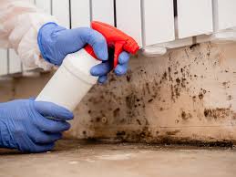 Best Mold Damage Restoration  in Jefferson, LA